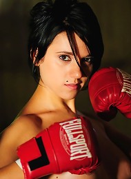 The Boxer 1